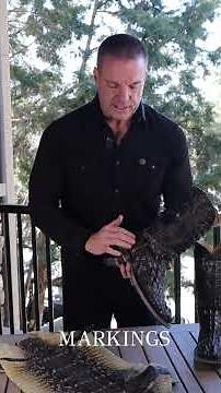 EL JEFE Boots 🐊 | Real American Alligator Head Cut | Custom Cowboy Boot Perfection