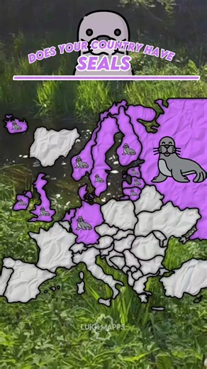 New Text Style? // #luigimapps #luigi #europe #mapping #mapper #mep #maps #map #seals #cute