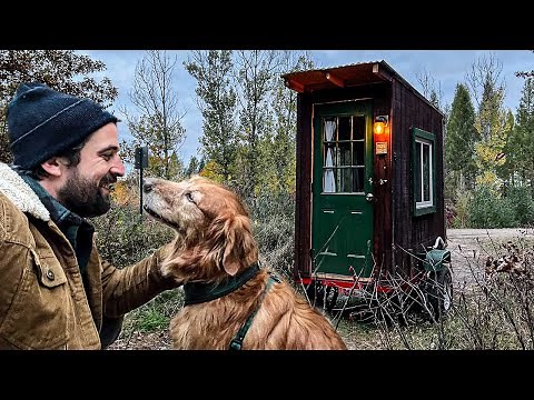 CHILLY OVERNIGHTER IN THE CABIN | Tiny Cabin Life