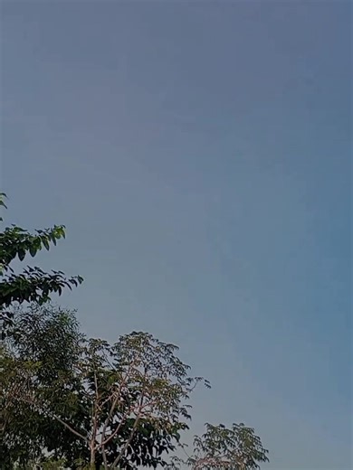 Fvt song....🌷💗... #msmoon #unfrezzmyaccount #msmoon