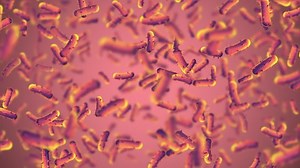 medical background of bacteria cells