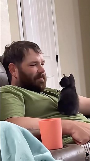 🐾 Cuddle Time with My Adorable Cat 😻💤 #cat