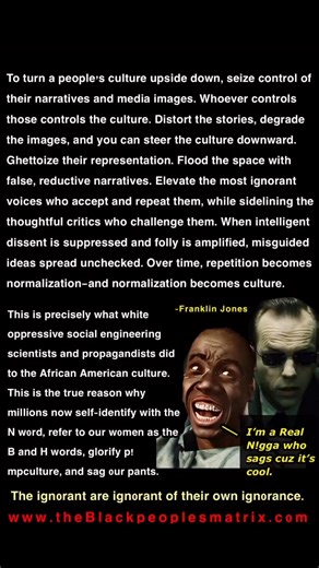 To turn a people's culture upside down, seize control of their narratives and media images. Whoever controls those controls the culture. Distort the stories, degrade the images, and you can steer the culture downward. Ghettoize their representation. Flood the space with false, reductive narratives. Elevate the most ignorant voices who accept and repeat them, while sidelining thoughtful critics who challenge them. When intelligent dissent is suppressed and folly is amplified, misguided ideas spre