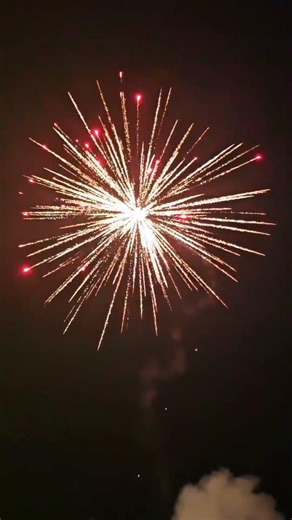 #shellcracker #fireworks #firecracker #crackers #diwali #diwalispecial