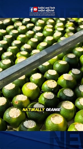 They Put Rice Inside an Orange… But It’s NOT for Eating! #viral