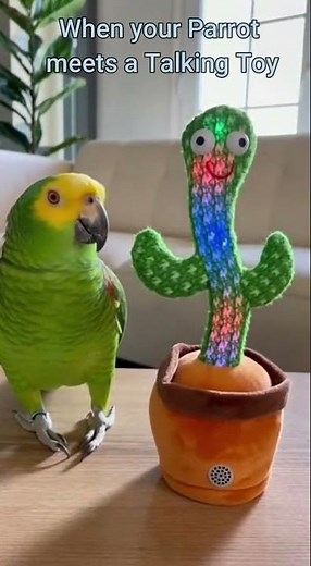 Talking Parrot Meets Talking Toy… Hilarious #shorts