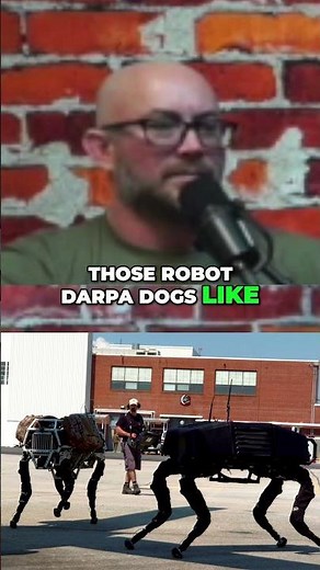 Black Mirror DARPA Dog: Real-Life Robot Assassins?!
