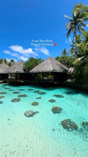 Deluxury Suite | Luxusreisen | InterContinental Bora Bora Thalasso Spa 🌺 Die Spa Suiten liegen über kristallklarem Wasser, umgeben von Korallen, Palmen und absoluter... | Instagram