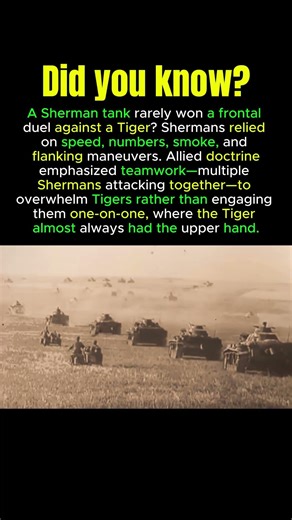 Tiger vs Sherman: Why Frontal Duels Were Suicide #tankhistory #shermantank #tigertank