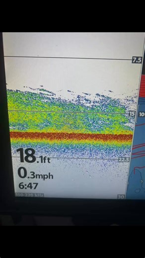 6.9K views · 92 reactions | Half the job is catching good fresh bait the morning of the trip. | Wolfe's Guide Service LLC | Facebook