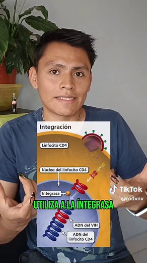 Pasos de la Replicación del VIH Explicados