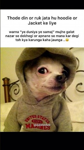 Hoodie jacket #memes #popular #viral #funnymemes #tweetreels #duniya