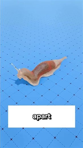 Pouring salt on a slug triggers a chain reaction most people never notice. #science #youtubeshorts