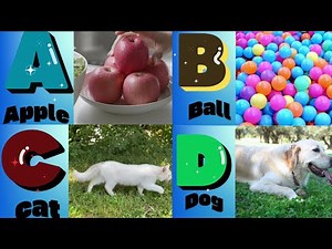 ABCD Like You’ve NEVER Seen Before 💯 ! ABCD Alphabet rhymes 🎒