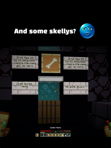 I found a crazy base on the DonutSMP... #minecraftsmp #donutsmp #minecraftserver #minecraft #donutsmpnet #drdonutsmp #xyzbcafypシ #kelpfarm #skellys