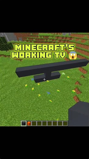 Minecraft Working TV