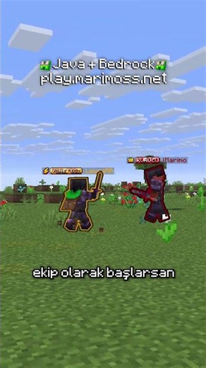 Play However You Want on Our Minecraft Server!
