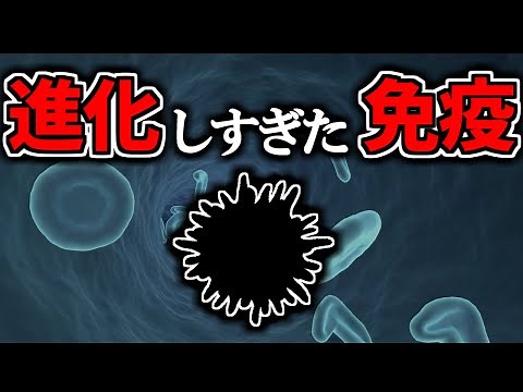 【ゆっくり解説】生物たちが到達した究極の生存戦略ー【免疫が崩壊するネズミ・免疫を放棄したコウモリ】