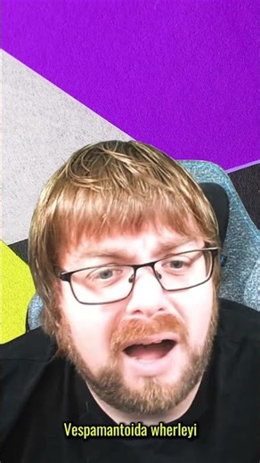 Mantis or wasp? The answer might surprise you!