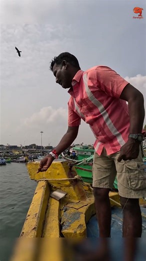 Inshore Mullet Fishing Watch This Hook Up! #fishing #fishingvideo #fishingtime