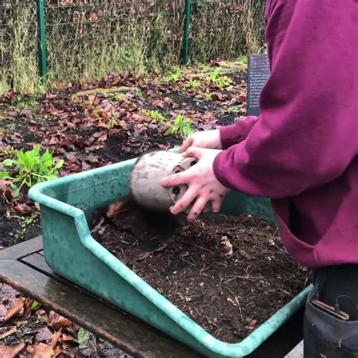 Potting Soil Mix