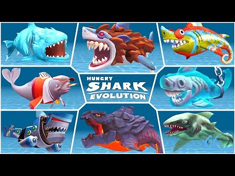 ALL SPECIAL SHARKS in Hungry Shark Evolution