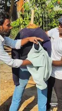 How we made a simple scarecrow with farm materials! 🧟‍♂️🐦#scarecrow #farm #hallowen