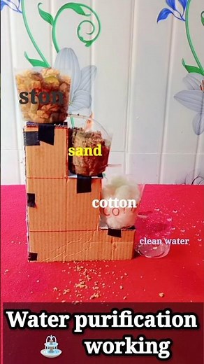 Water purification working model | Easy science project#purification #scienceproject #experiment-c8w