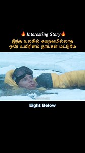 30K views · 450 reactions | Dogs are the only selfless being #shorts #tamil #moviereview #voiceover #shortsfeed | Daran Leaks | Facebook
