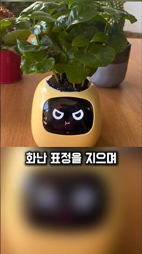 AI 화분으로 식물 키우는 방법