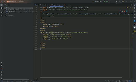 IntelliJ IDEA 账号付费插件激活教程（Fast Request， MybatisCodeProHelper等300+插件）