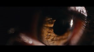 From light diffusion & control to privacy & efficiency, we have an intelligent shade design for whatever you need or desire. | Hunter Douglas