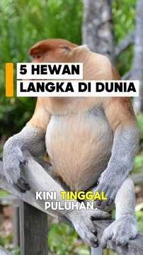 Top 5 hewan paling langka di dunia 🌍#HewanLangka #FaktaDunia #SatwaLangka #Top5 #Edukasi
