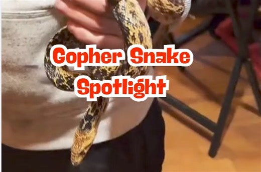 1.6K views · 64 reactions | Join us for a rare glimpse into the world...