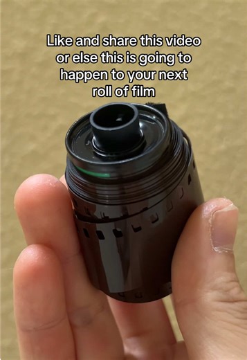 harvey film lab on TikTok