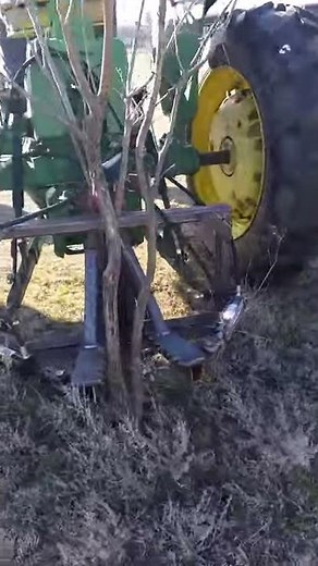 Homemade 3 point jaws removing small scrub trees