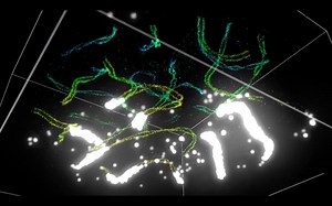 Thanks to new super-resolution microscopy, Yale researchers have opened up a dazzling world existing inside cells, revealing 3D imagery of cell structures, down to individual molecules. [with Yale School of Medicine] | Yale University