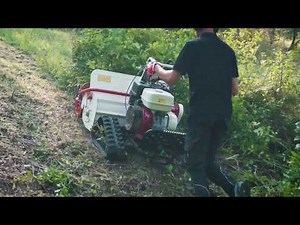 Trinciasarmenti Orec HRC813H