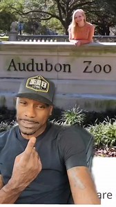 135K views · 6.8K reactions | AUDUBON ZOO⚜️ NEW ORLEANS HOOD HISTORY #neworleans #hoodhistory #audubonzoo #animals #Nola #history #letmestressyouout #ComedianBoogieB #fypシ゚viral #louisiana @auduboninstitute | Comedian Boogie B Montrell | Facebook