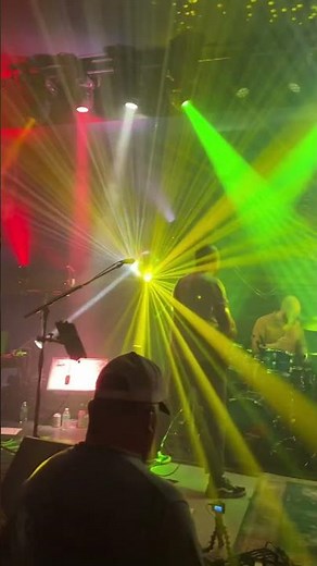 New Disco Ball Lights! Gettin’ Funky w/ “Feel Like a Stranger”! Dancing Bears -Grateful Dead Tribute