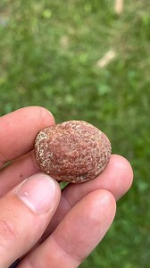 Kentucky agate breakfast cut! One special little red agate today. The red ones are usually the better ones. This cut out excellent with the tight bands and beautiful pocket. #Agate #rocks #geodes #outside #kentuckyagate #crystals | Taylor Pfanstiel