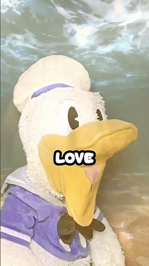 Donald Ducc Didn't Know This Will Happen