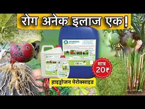 Disease Control with Hydrogen Peroxide (H2O2) रोग अनेक इलाज एक हाइड्रोजन पेरोक्साइड | by PC Verma