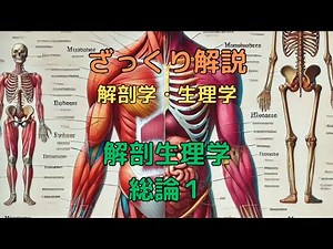 ざっくり解説 解剖学・生理学 解剖生理学総論1 #解剖学 #柔道整復師学生 #看護師 #理学療法士 #shorts