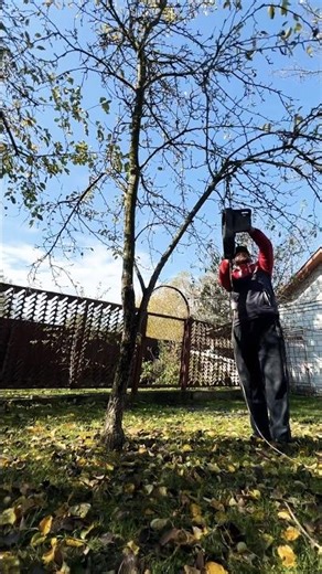 #lawnmower#gardening#garden#cleaning#appletree