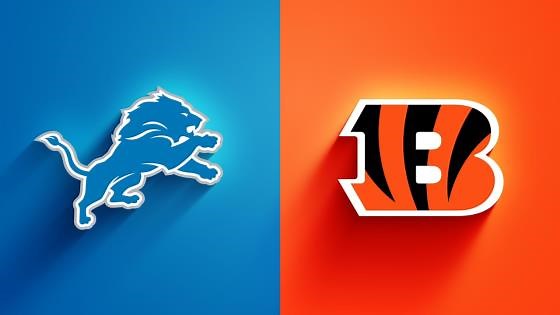 Lions vs. Bengals highlights | Week 5