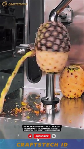 Pineapple Peeling Machine for Fast and Efficient Fruit Processing #machine #innovation