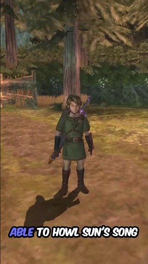 The Zelda: Twilight Princess PC Port Is HERE!!