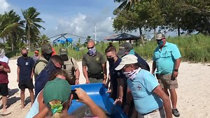 9.3K views · 259 reactions | Sheriff’s Office Detective Sgt. Trevor Wirth, Deputy Willie Guerra and Detective Matthew O’Neill helped The Turtle Hospital release a rehabilitated turtle at Sombrero Beach in Marathon this morning! | MCSO - Florida Keys | Facebook