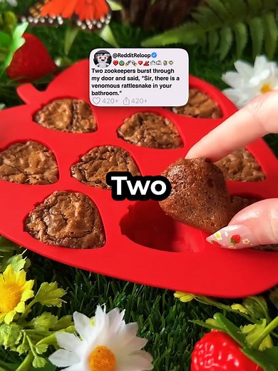 Rattlesnake Encounter: Zookeepers and a Bathroom Panic